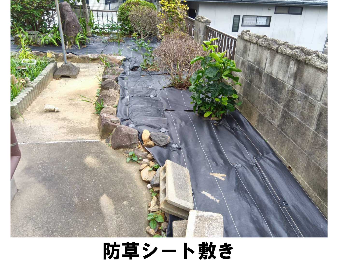 防草シート敷き