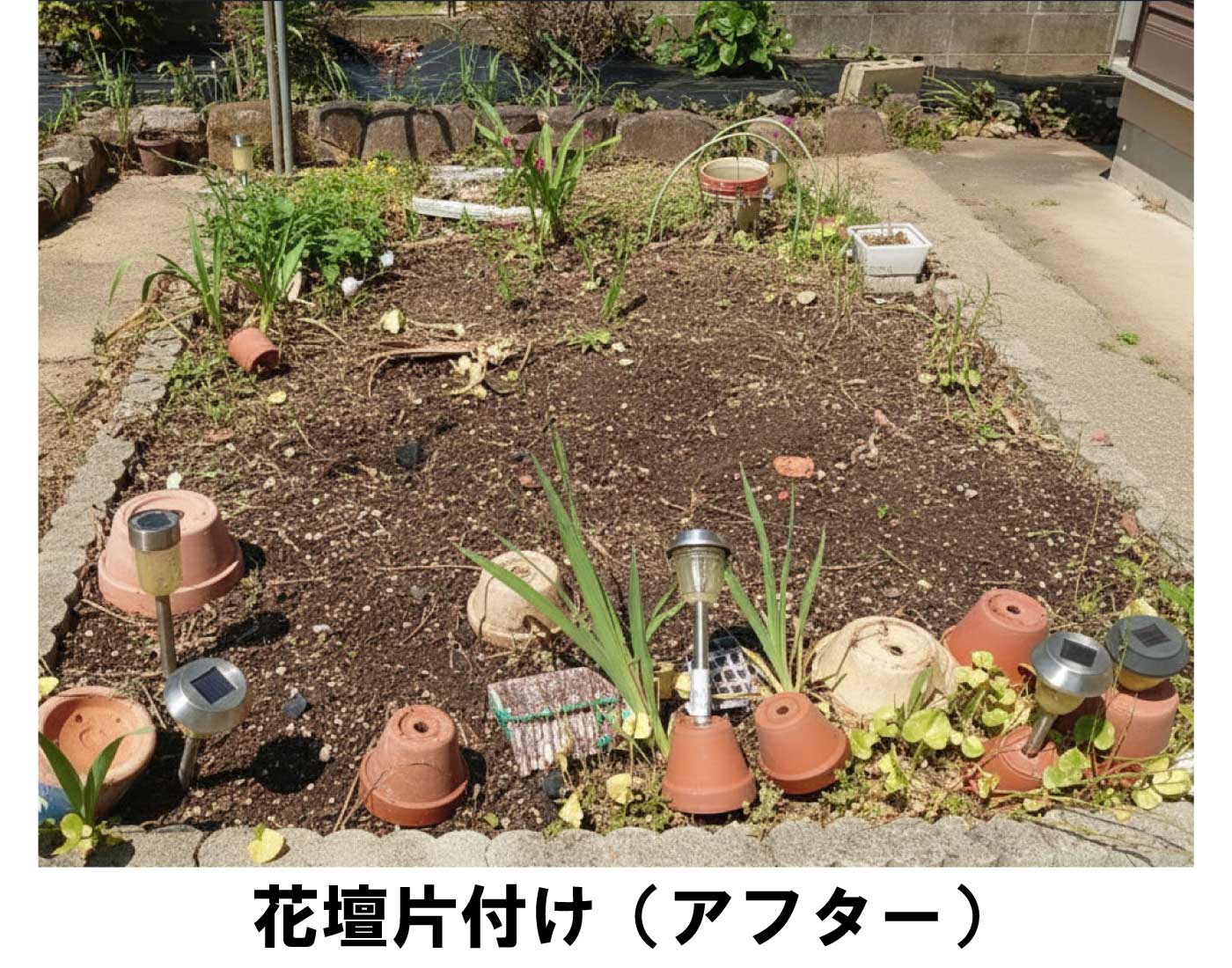花壇片付け後